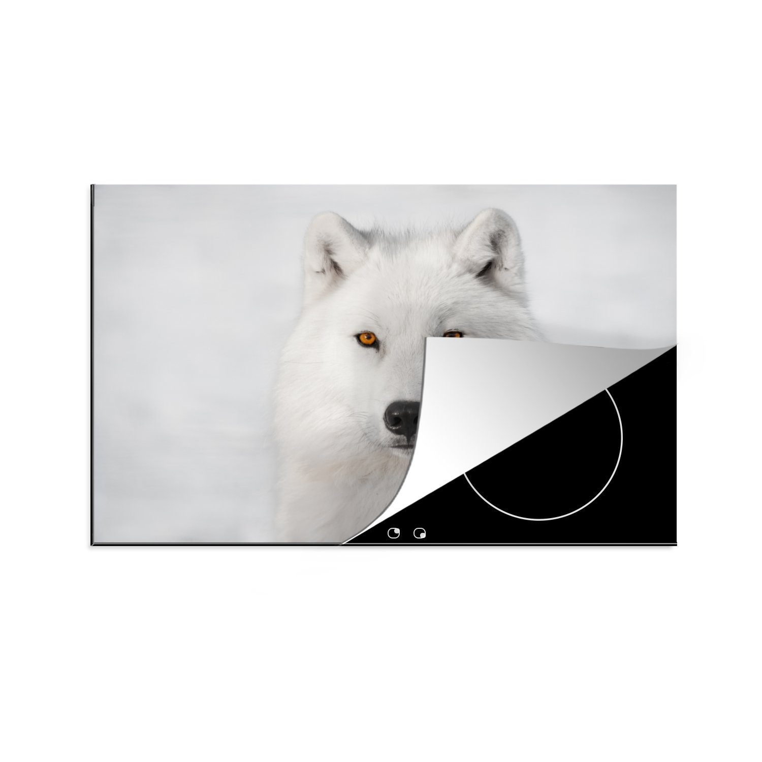 MuchoWow Herdblende-/Abdeckplatte Weißer Hintergrund, auf (1 Vinyl, Ceranfeldabdeckung tlg), 81x52 Schutz die cm, Induktionskochfeld küche, Wolf für weißem