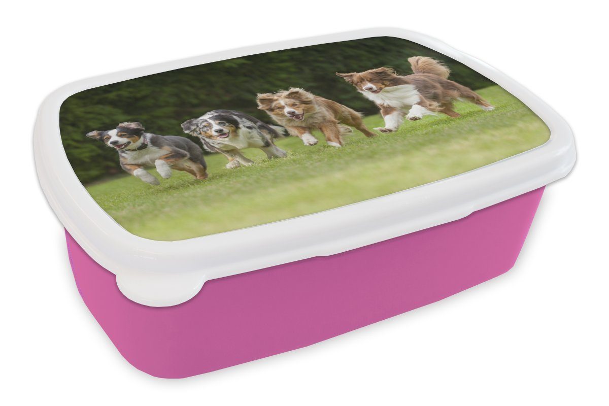 MuchoWow Lunchbox 4 Hunde laufen in einer Reihe, Kunststoff, (2-tlg), Brotbox für Erwachsene, Brotdose Kinder, Snackbox, Mädchen, Kunststoff rosa