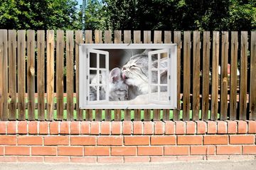 Wallario Sichtschutzzaunmatten Süße kleine getigerte Katzenbabys, mit Fenster-Illusion