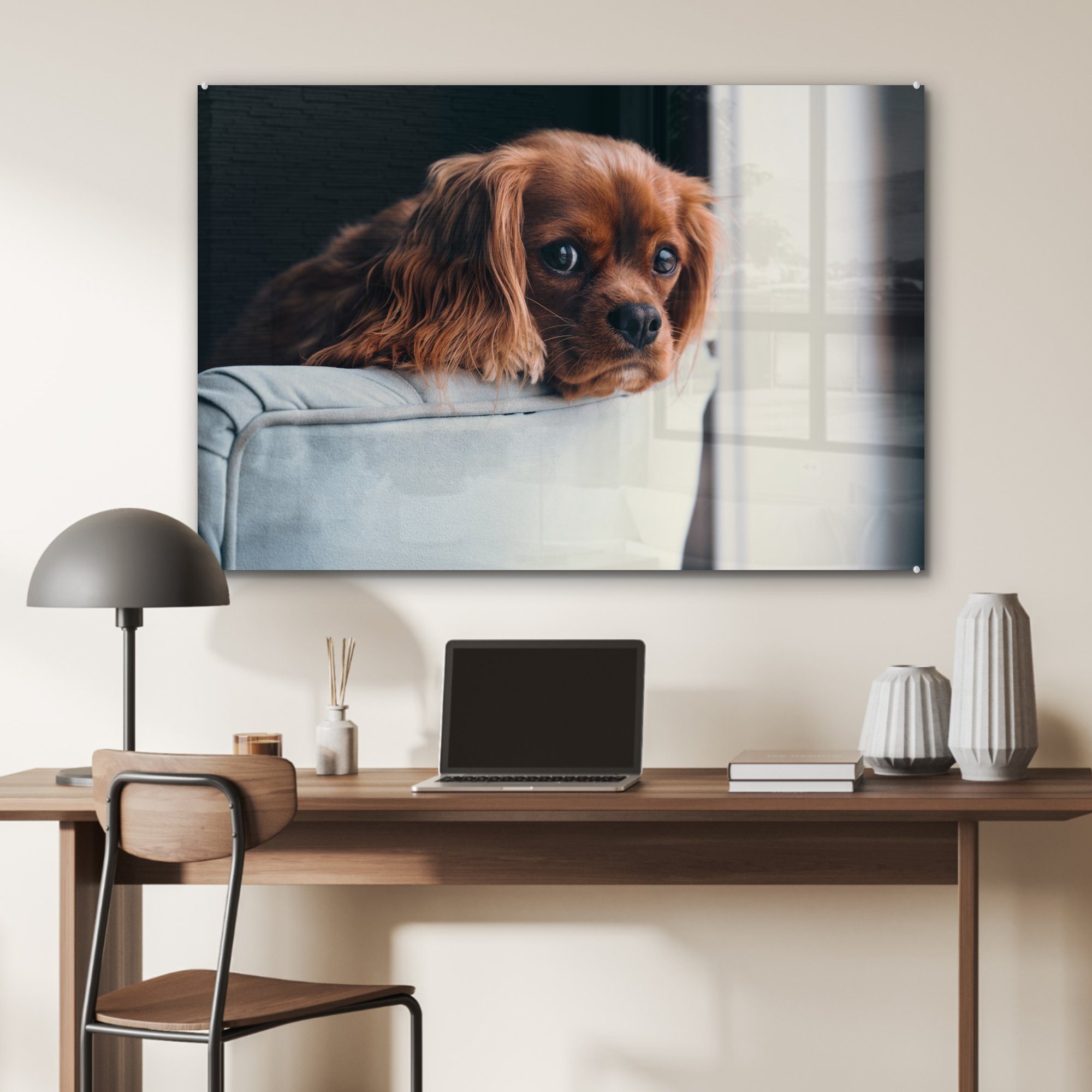 Stuhl - St), Acrylglasbilder Acrylglasbild MuchoWow Kopf, (1 Hund Schlafzimmer Wohnzimmer & -