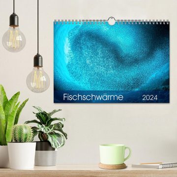 CALVENDO Wandkalender Fischschwärme (Wandkalender 2024 DIN A4 quer), CALVENDO Monatskalender