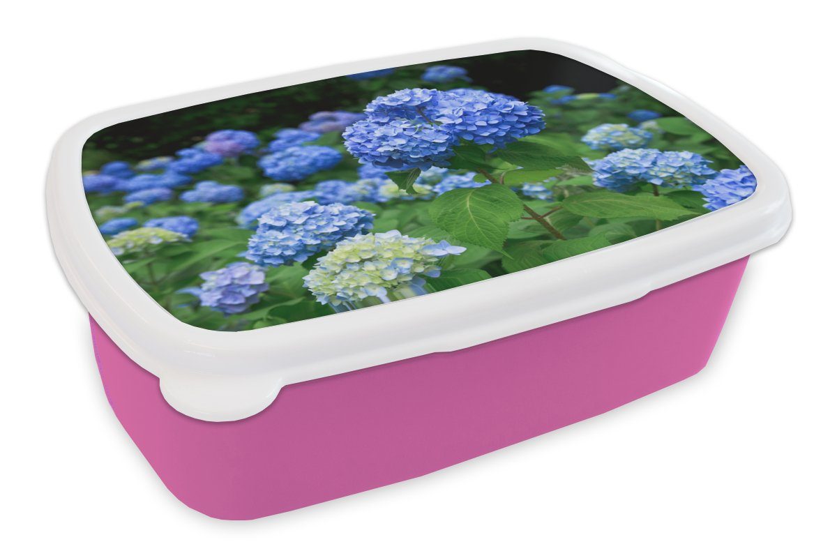 MuchoWow Lunchbox Blaue Hortensienblüten, Kunststoff, (2-tlg), Brotbox für Erwachsene, Brotdose Kinder, Snackbox, Mädchen, Kunststoff rosa