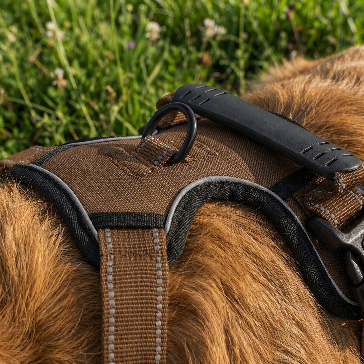 belviona Y-Geschirr gepolstert, reflektierend & verstellbar, Größe S, braun, Nylon, Anti-Zug Hundegeschirr mit Brustring & Kontrollgriff