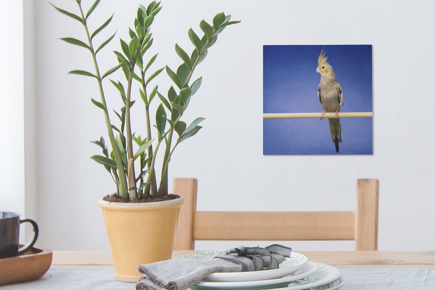 Stock, Bilder Falken-Sittich Leinwand (1 OneMillionCanvasses® Schlafzimmer auf Leinwandbild einem für Wohnzimmer St),