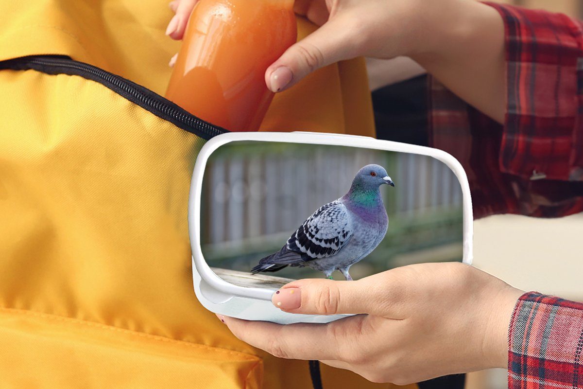 Lunchbox Taube und Lila - Vogel und - Erwachsene, Kunststoff, Brotdose, für Brotbox für Mädchen Kinder Jungs MuchoWow (2-tlg), weiß Federn, -