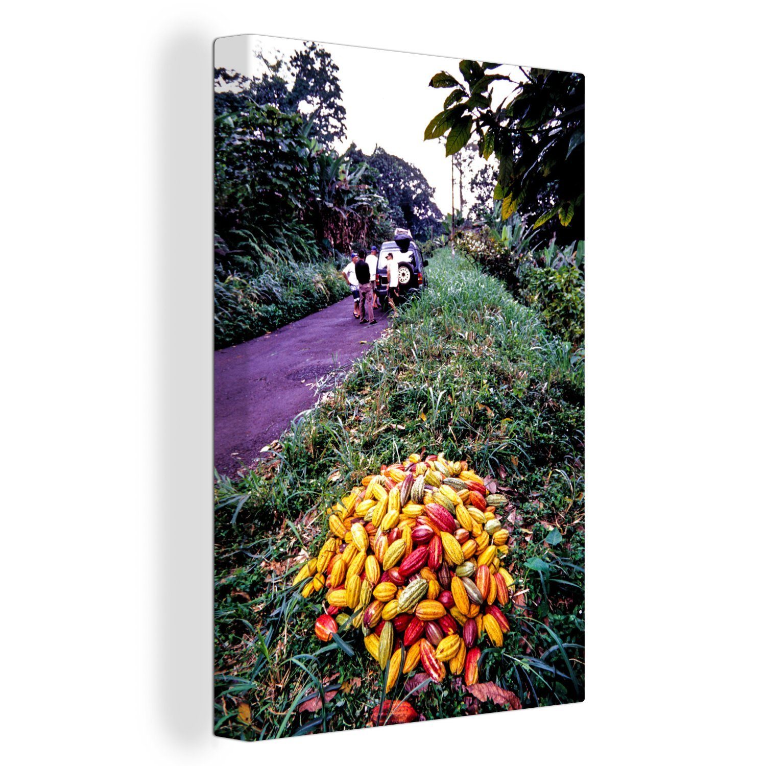 OneMillionCanvasses® Leinwandbild Haufen von tropischen und frischen Kakaobohnen, (1 St), Leinwandbild fertig bespannt inkl. Zackenaufhänger, Gemälde, 20x30 cm