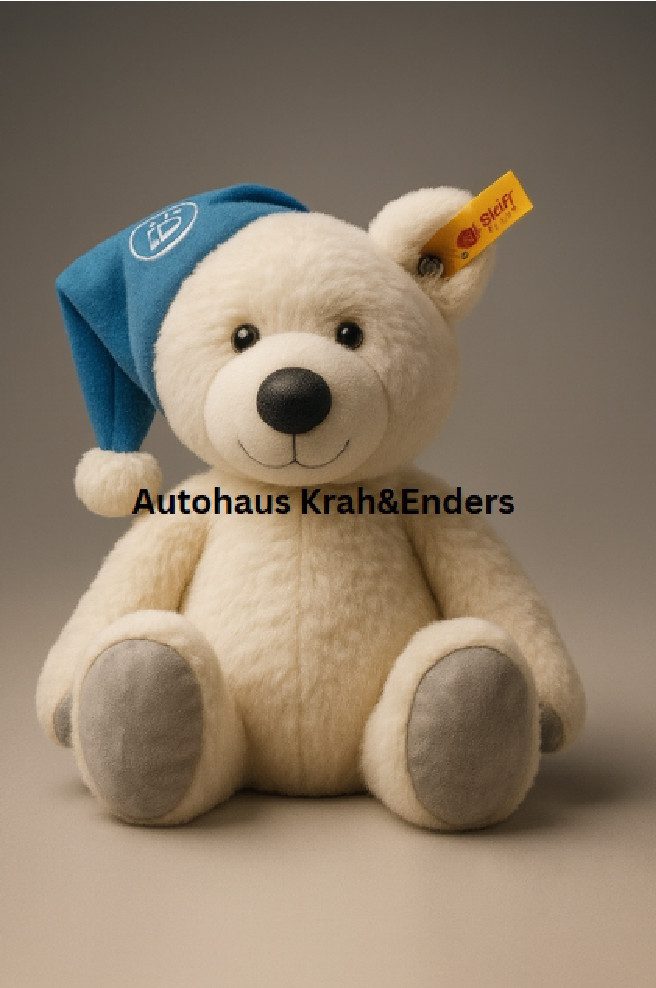 BMW Kuscheltier BMW Geschenkset in exklusiver Geschenkbox Teddy Plüschtier Kuscheltier (1-St)