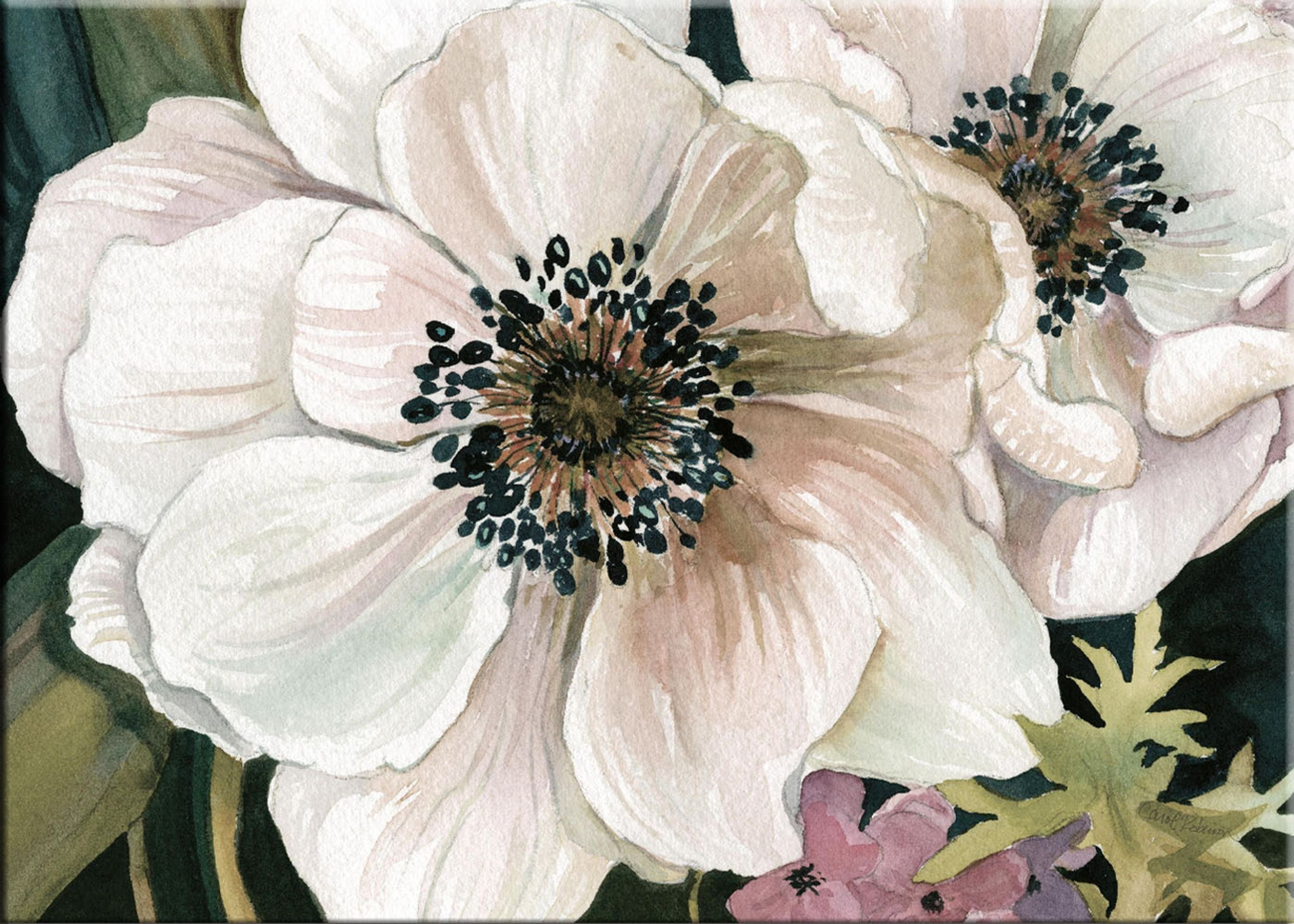 artissimo Leinwandbild artissimo Bild auf Leinwand 70x50cm Kunst-Edition  Aquarell Blume Blüte, Carol Robinson: Anemone Study I