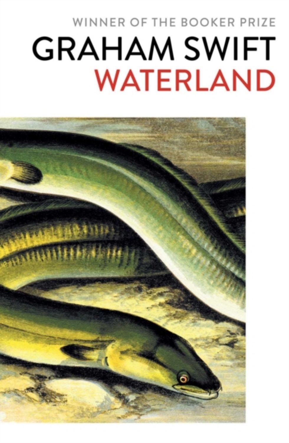 Waterland / Graham Swift
