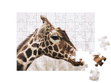 puzzleYOU Puzzle Netzgiraffe, auch bekannt als Masai-Giraffe, 48 Puzzleteile, puzzleYOU-Kollektionen Giraffen, Tiere in Savanne & Wüste