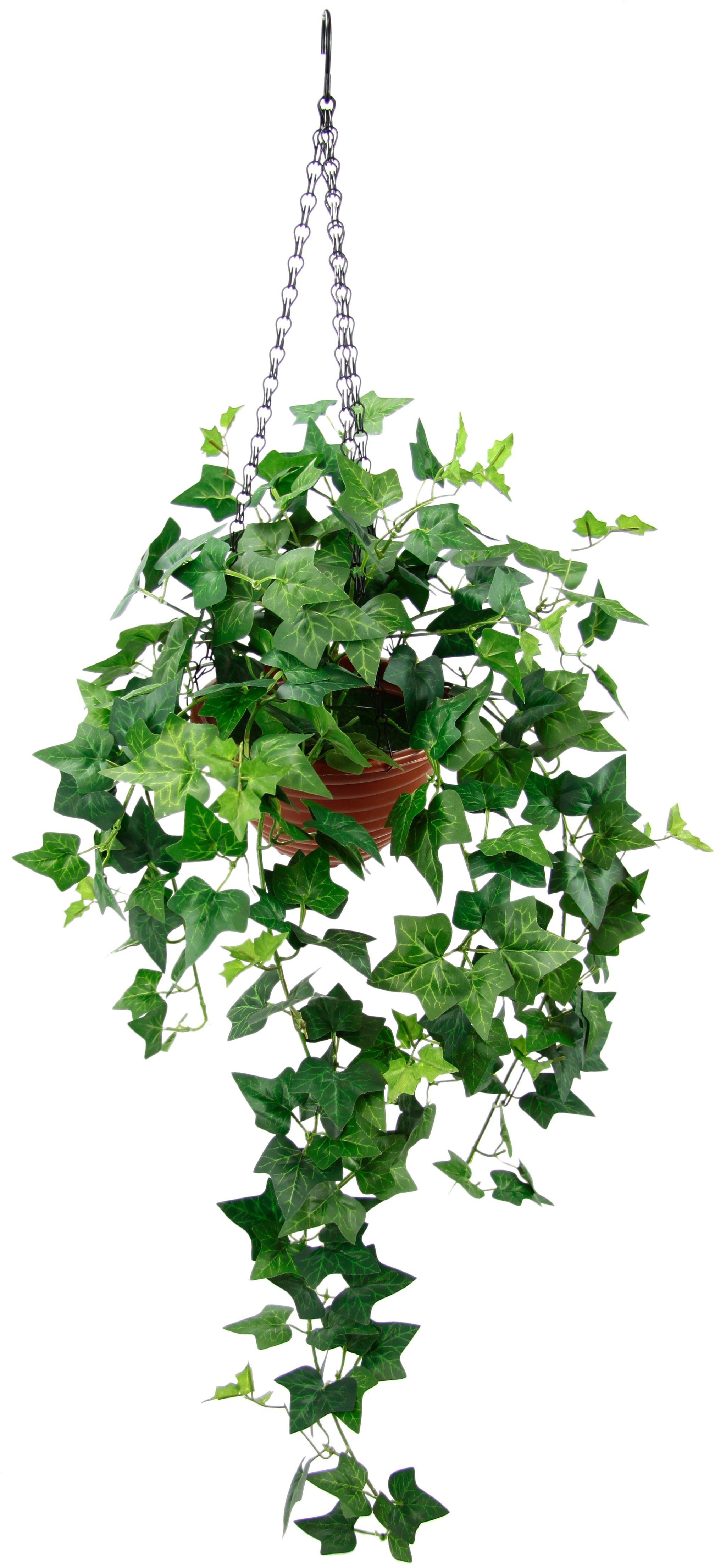 Kunstpflanze »Efeu«, my home, Höhe 96 cm, Im Topf, mit Hängeampel,  künstlicher Efeuhänger online kaufen | OTTO