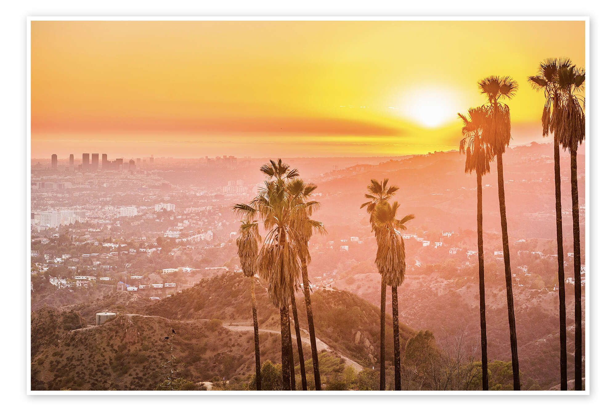 Posterlounge Wandbild Sonnenuntergang im Griffith Park, Los Angeles, Editors Choice, erhältlich als Poster, Leinwandbild, Wandsticker oder Acrylglasbild
