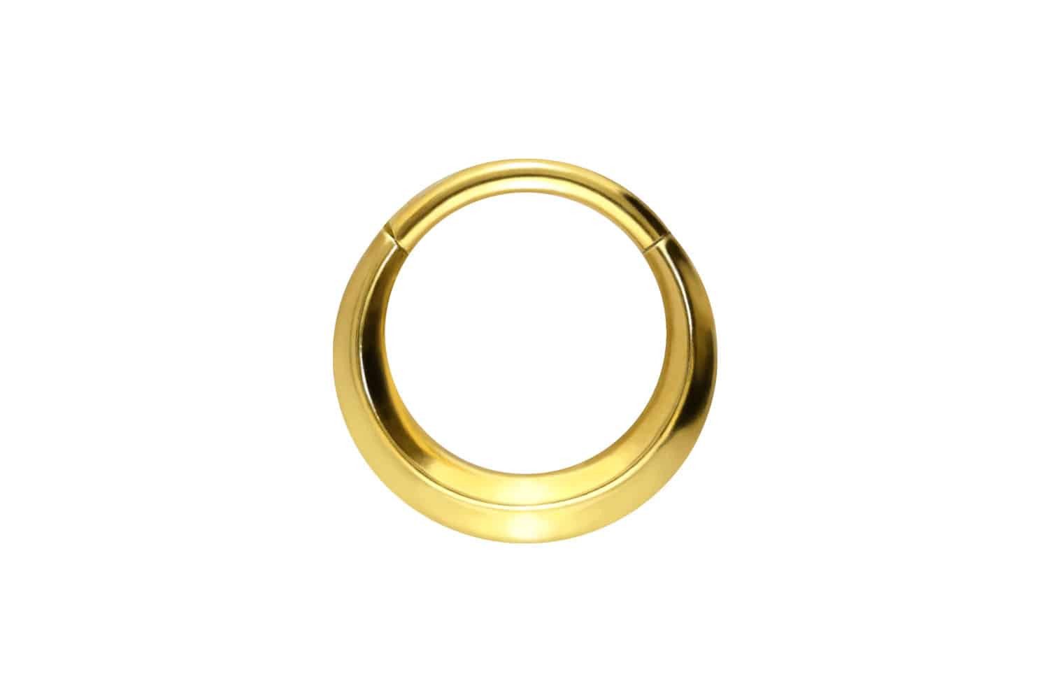 Nasenpiercing Titan Segmentring Clicker FLACH