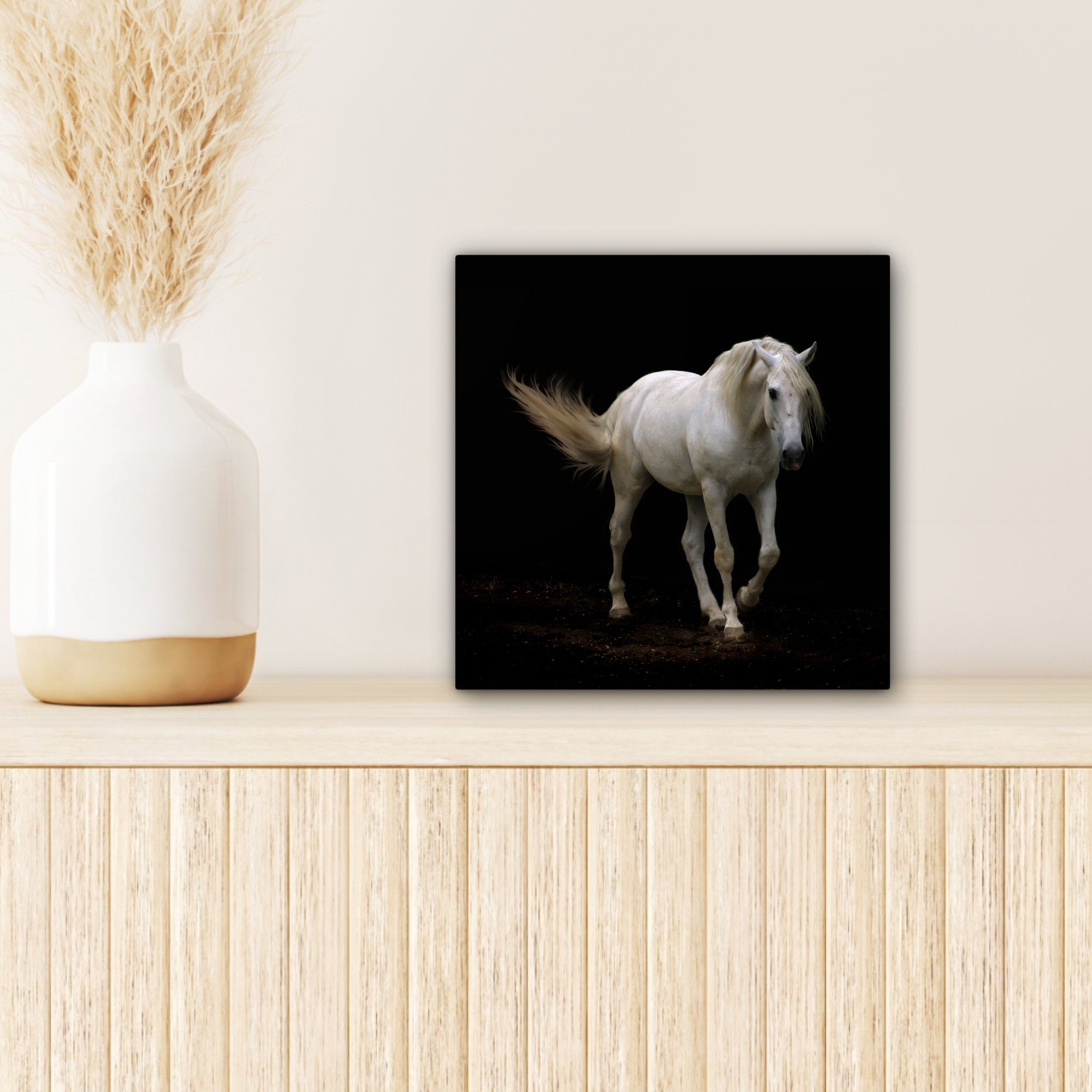 Schlafzimmer, - OneMillionCanvasses® cm für (1 Schwarz, Leinwand 20x20 St), Nutztiere Pferde Leinwandbild Bilder - Wohnzimmer