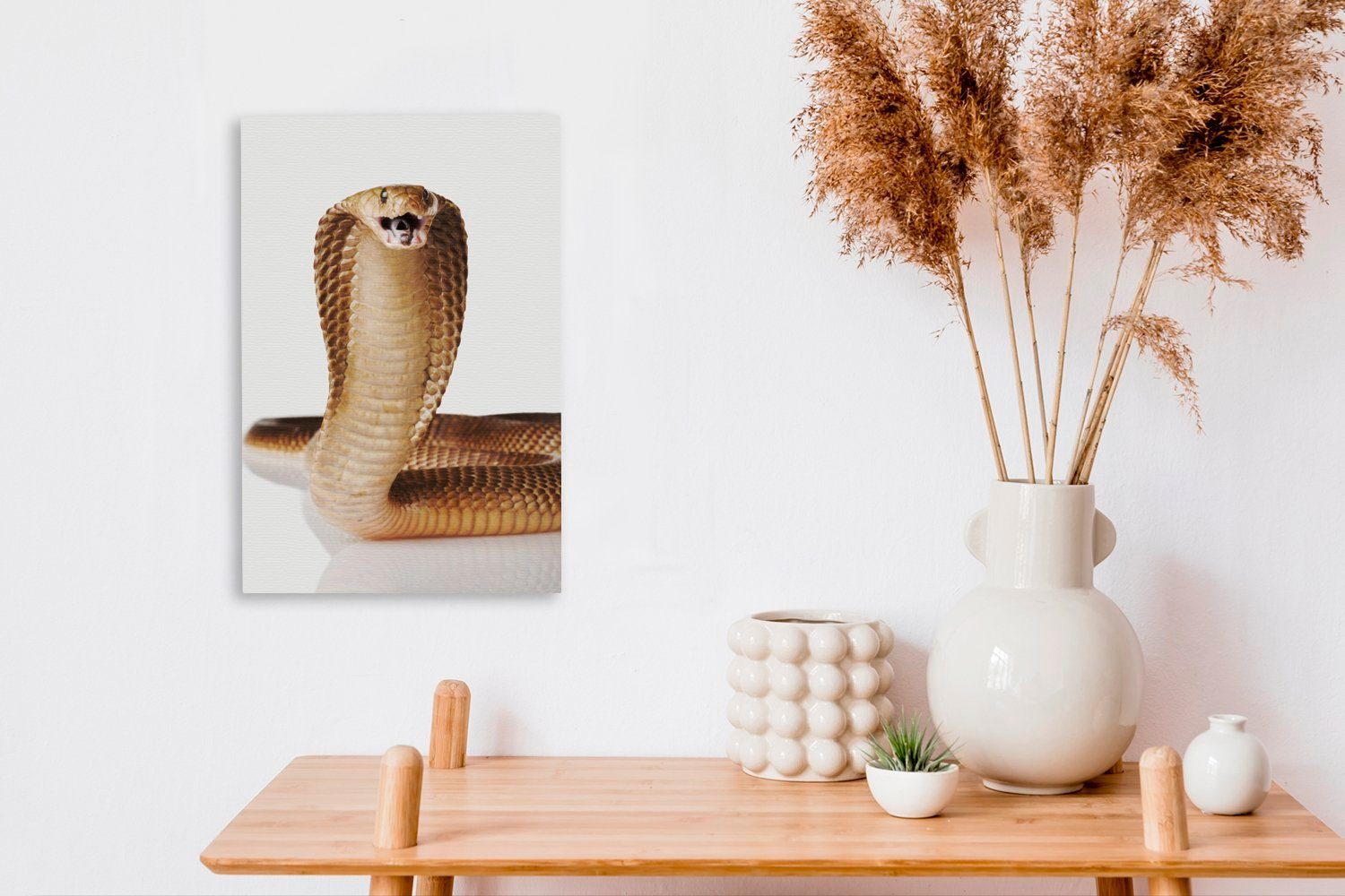 OneMillionCanvasses® Leinwandbild cm weißen auf einem bespannt Zackenaufhänger, inkl. Kobra posiert fertig St), Hintergrund, Gemälde, (1 Leinwandbild 20x30 Schlange