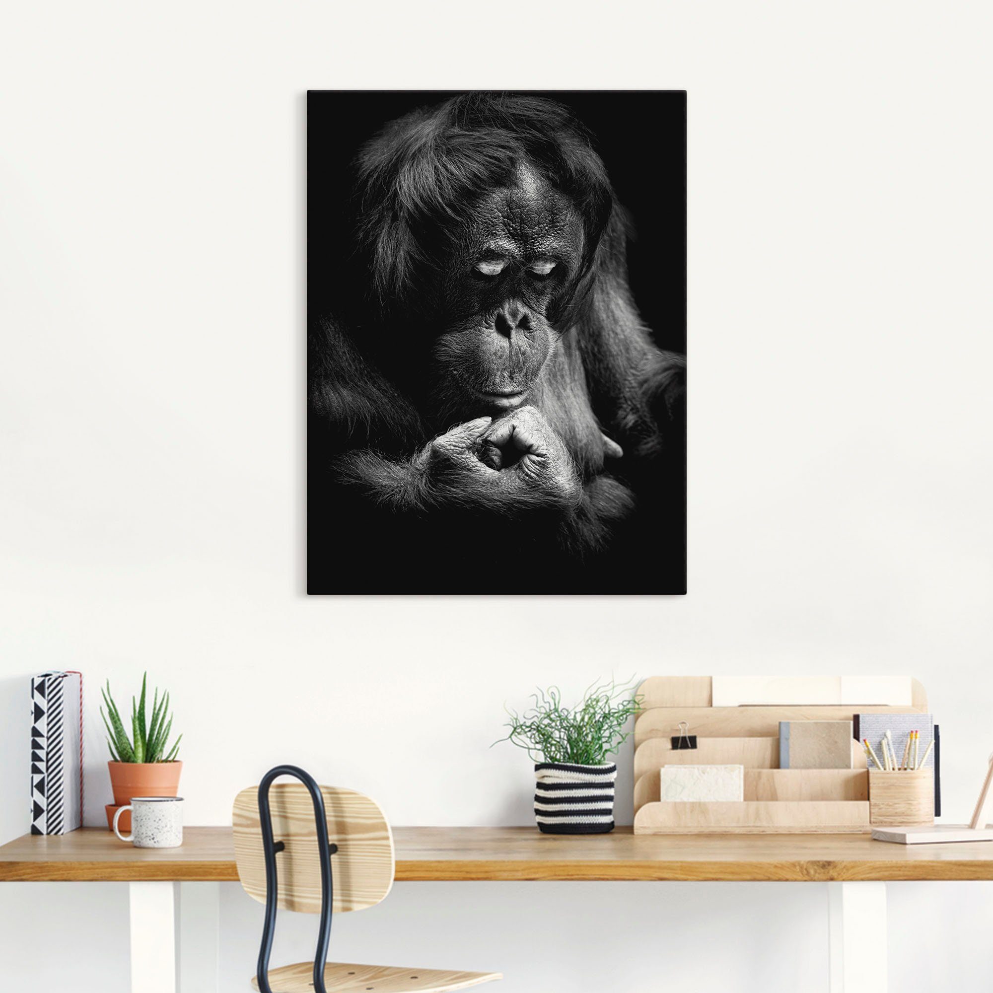 Artland Wandbild Orang versch. Affenbilder Leinwandbild, Utan, St), Größen als in Poster oder (1 Wandaufkleber Alubild