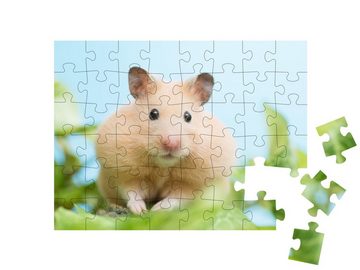 puzzleYOU Puzzle Goldhamster umringt von grünen Blättern, 48 Puzzleteile, puzzleYOU-Kollektionen Hamster, 48 Teile, Bauernhof-Tiere