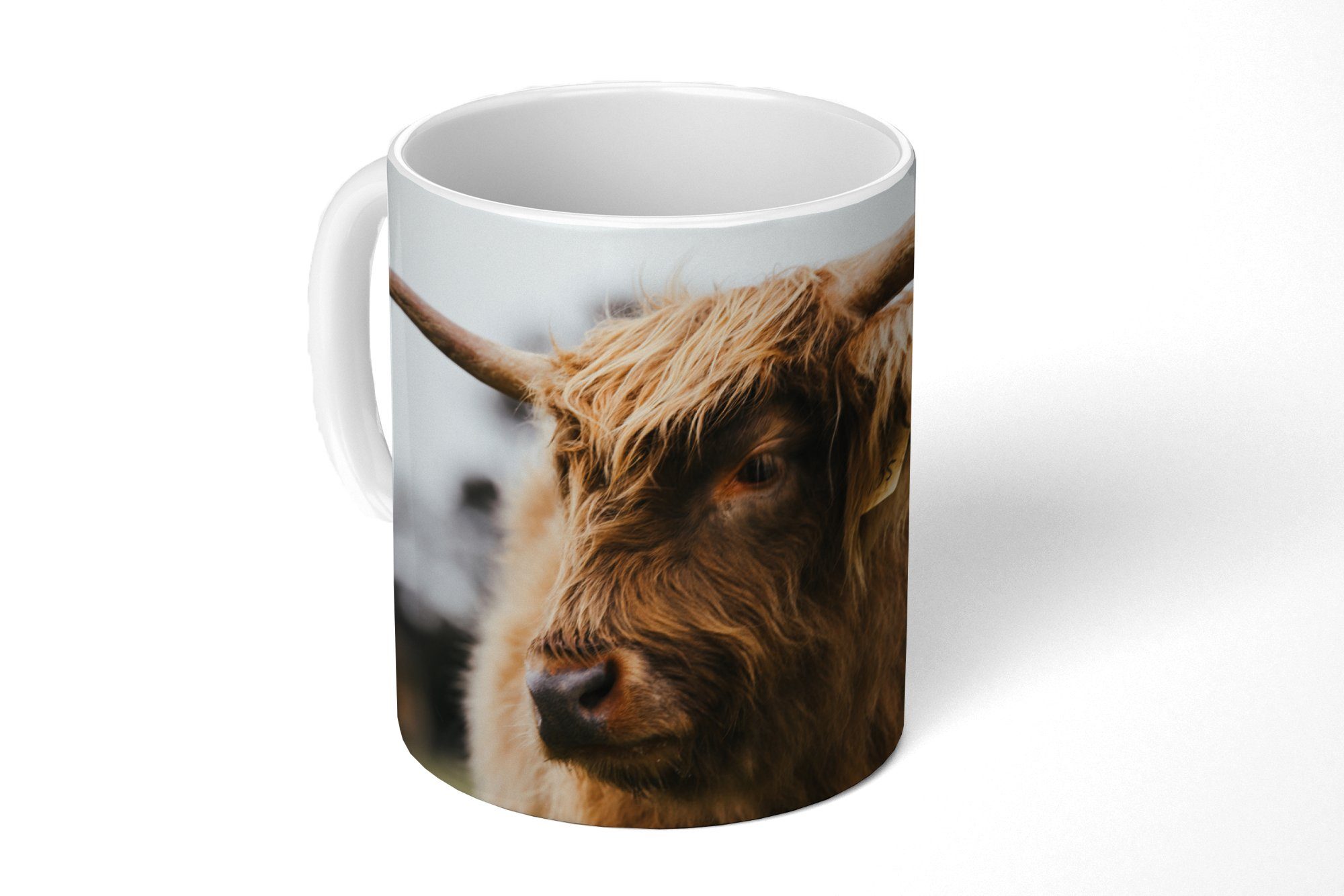 MuchoWow Tasse Schottischer Highlander - Tiere - Hörner, Keramik, Kaffeetassen, Teetasse, Becher, Teetasse, Geschenk