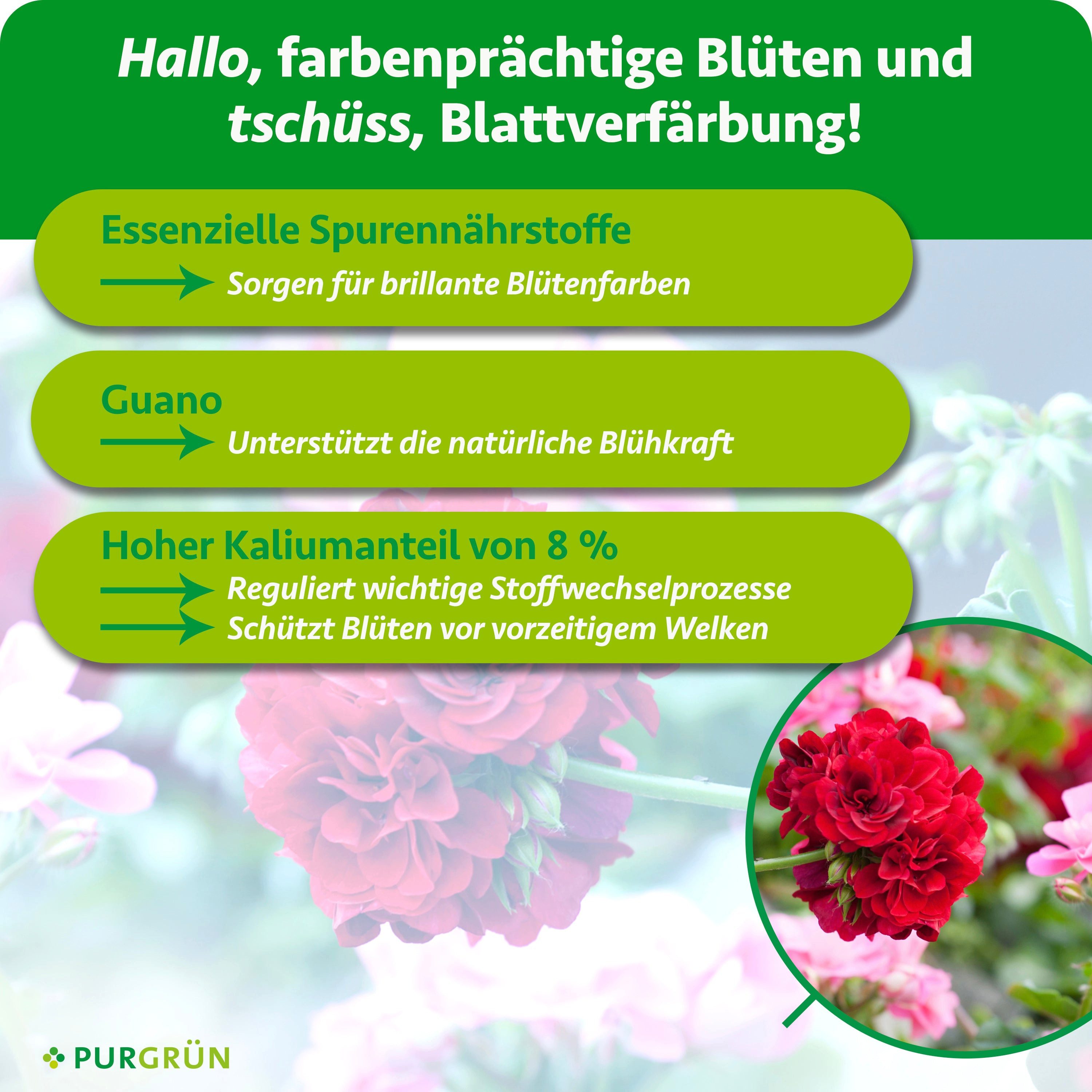 Purgrün Blumendünger Geraniendünger, NPK 5+7+8, Guano für leuchtende Blüten, 1L, Flüssigdünger, 1-St., 1 Liter