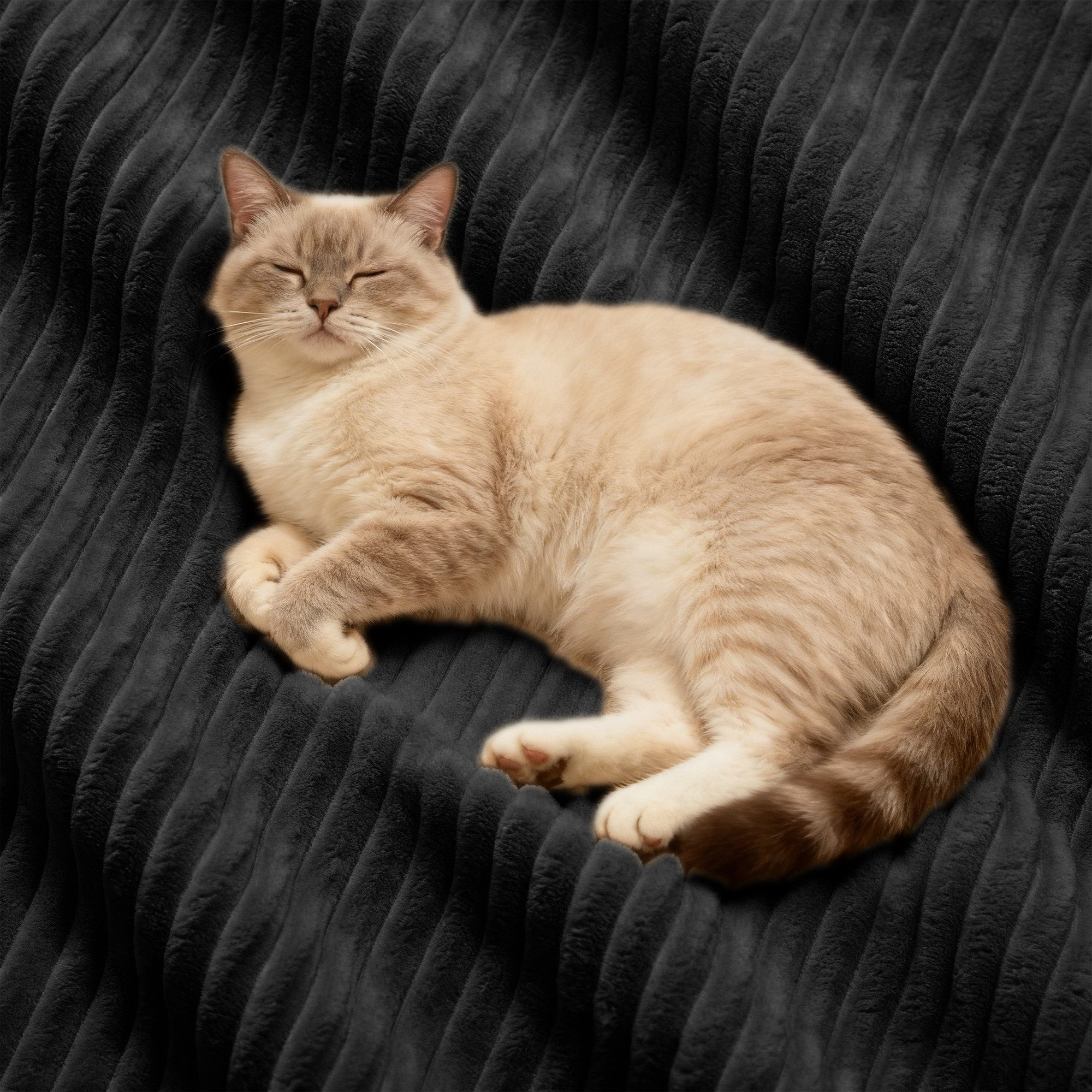 Odikalo Sofa Boneless Modulares Sofa kombinierbar Polstersofa Schlafsofa, Boneless Modular Sofa, modernes Sofa für Wohnzimmer mit Tiefsitz, bequemes Corduroy-Cl – Bild 4 von 5