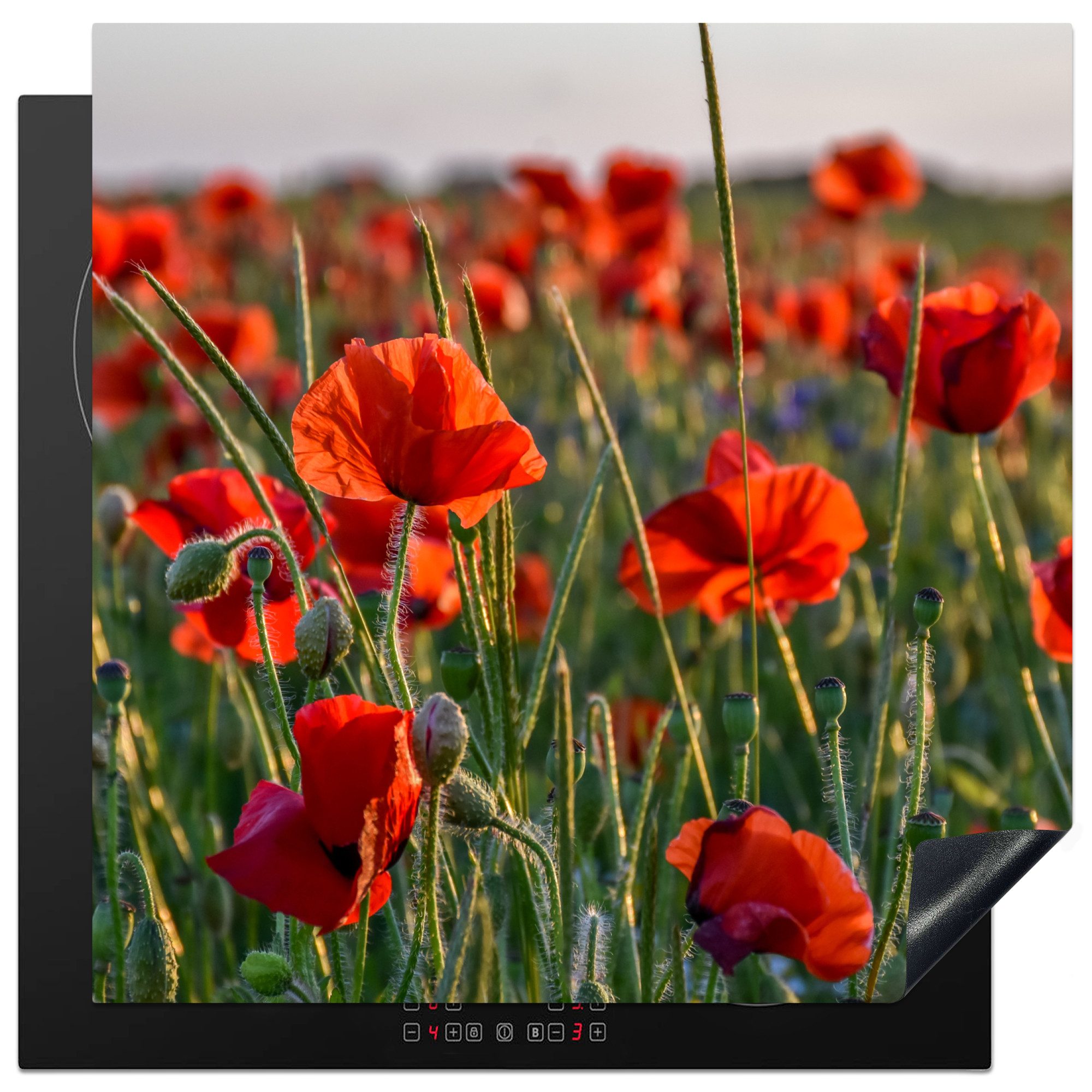 MuchoWow Herd-Abdeckplatte Mohnblumen - Rot - Grün - Blumen, Vinyl, (1 tlg), Küche Herdabdeckung Ceranfeld Induktionsfeld Vinyl, 60x60 cm