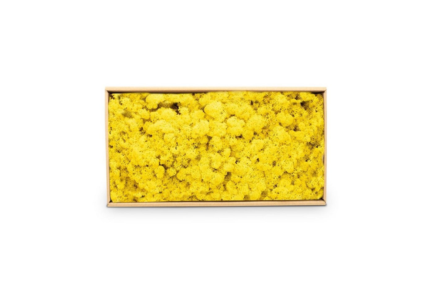 Thumbnail - NaDeco Bastelnaturmaterial Islandmoos Limone 500g