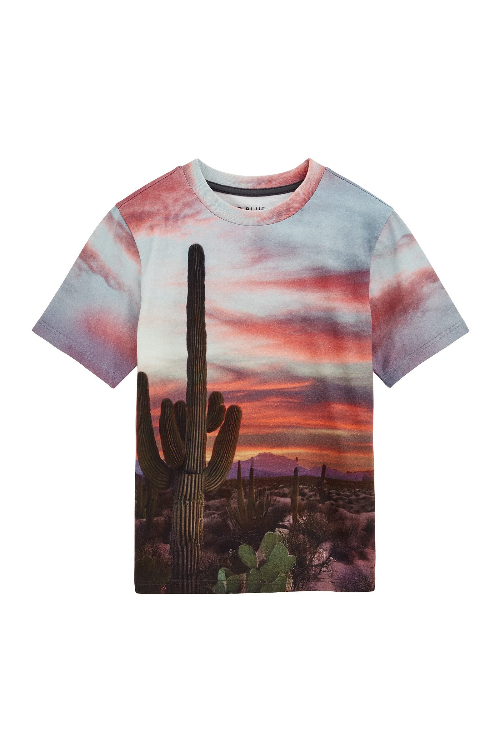 WE Fashion T-Shirt günstig online kaufen