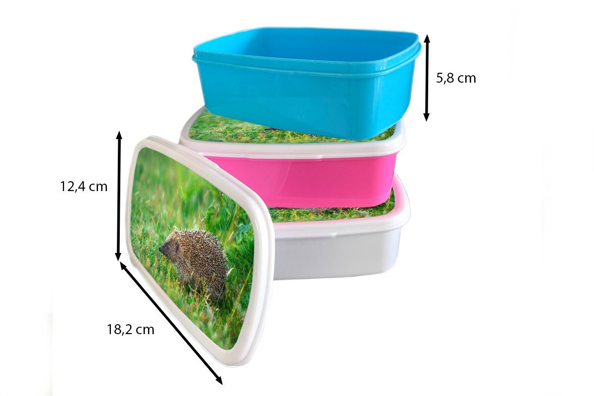 MuchoWow Lunchbox Igel steht im rosa Erwachsene, Gras, Brotdose Kunststoff, Kinder, Mädchen, Brotbox Kunststoff für Snackbox, (2-tlg)