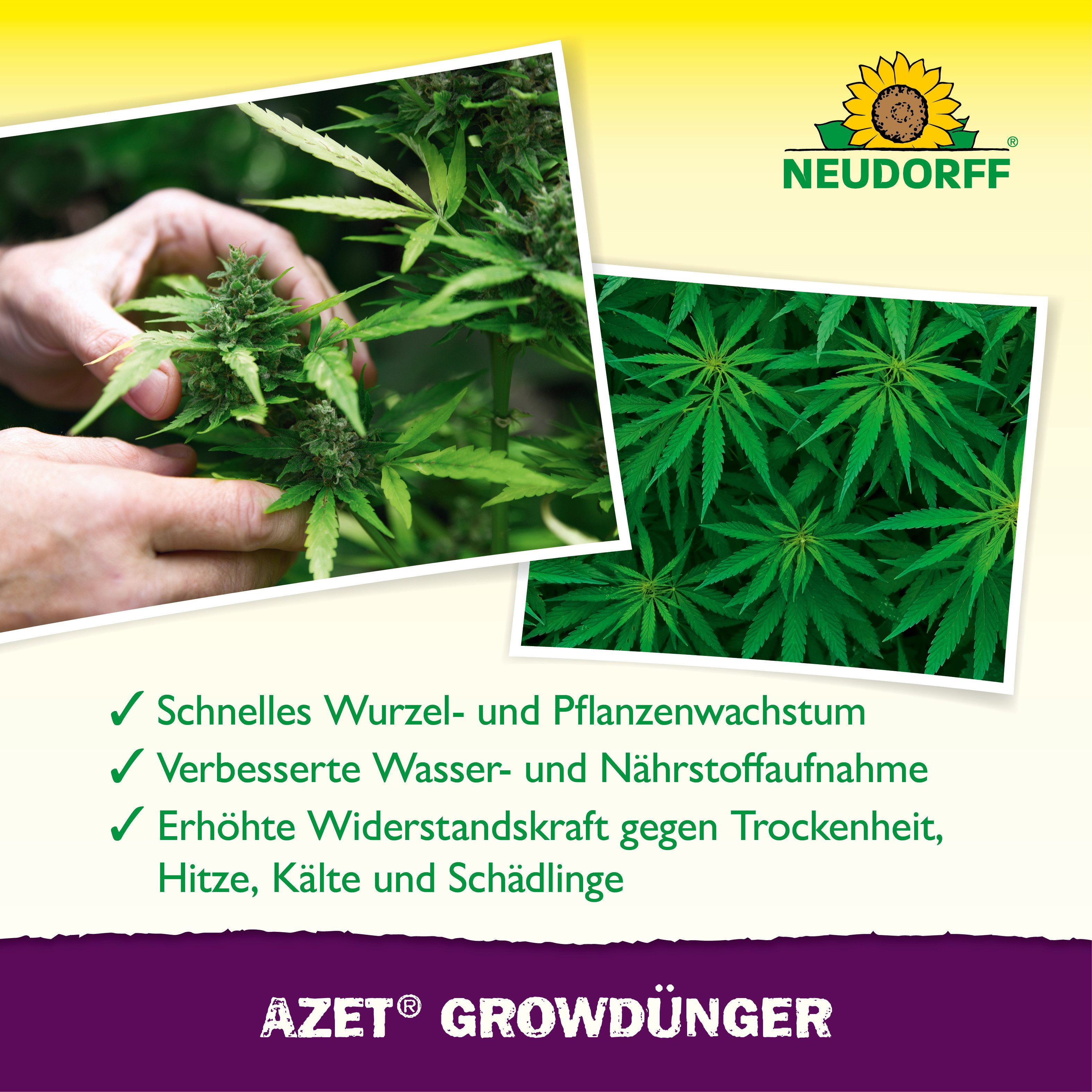 Neudorff Spezialdünger Azet GrowDünger 250ml Hanf Dünger für 50L, Vor Gebrauch gut schütteln und nur mit Wasser verdünnt anwenden., Dünger für Hanfpflanze für s – Bild 4 von 5