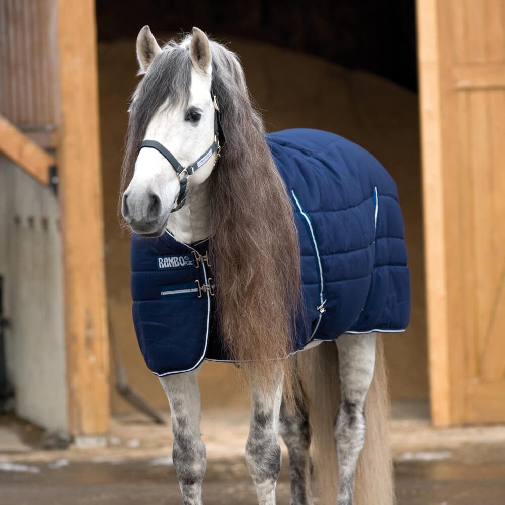 Pferde-Stalldecke Horseware Rambo Stable 400g
