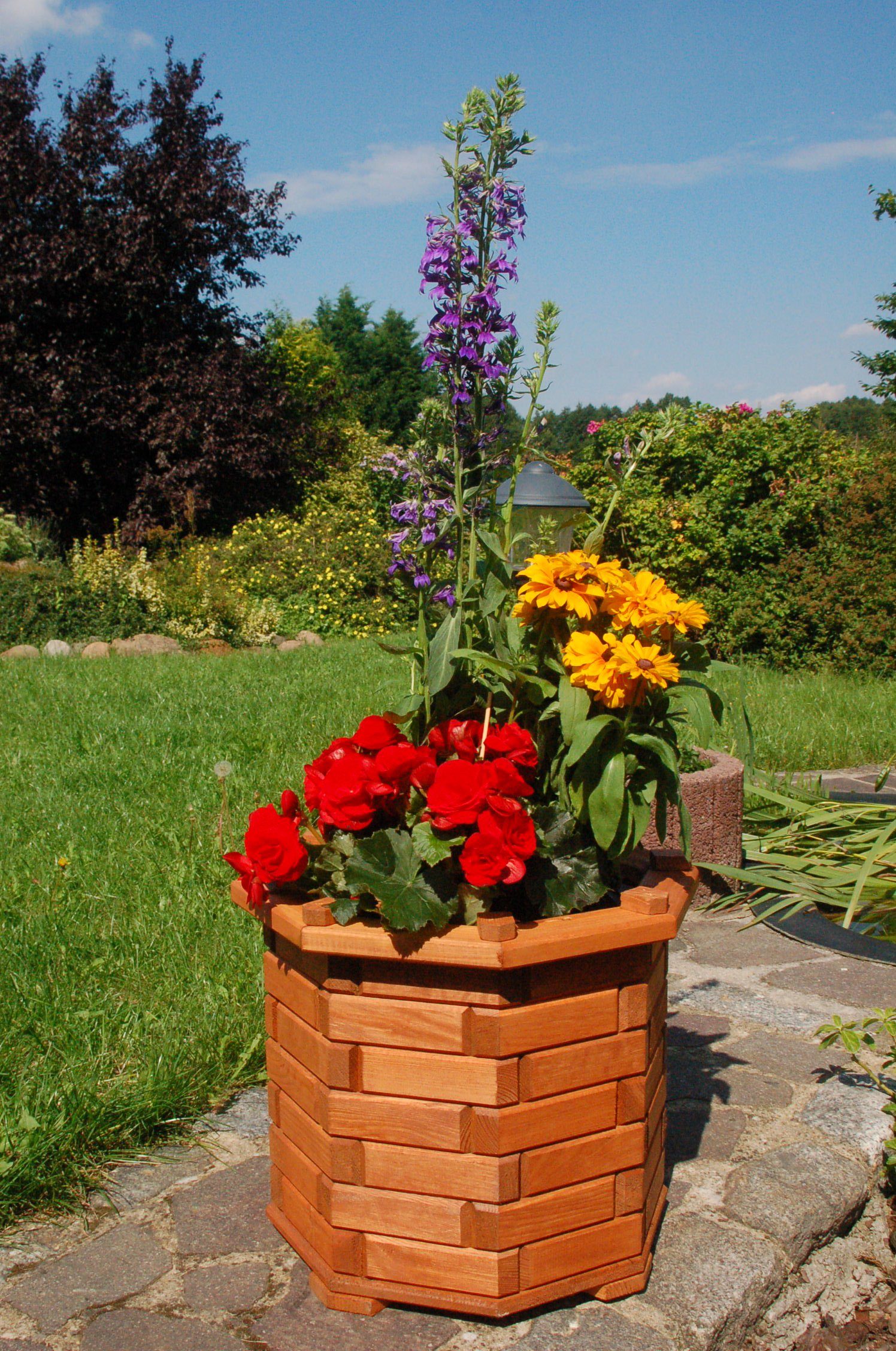 DSH DEKO SHOP HANNUSCH Blumenkasten Bk6r günstig online kaufen