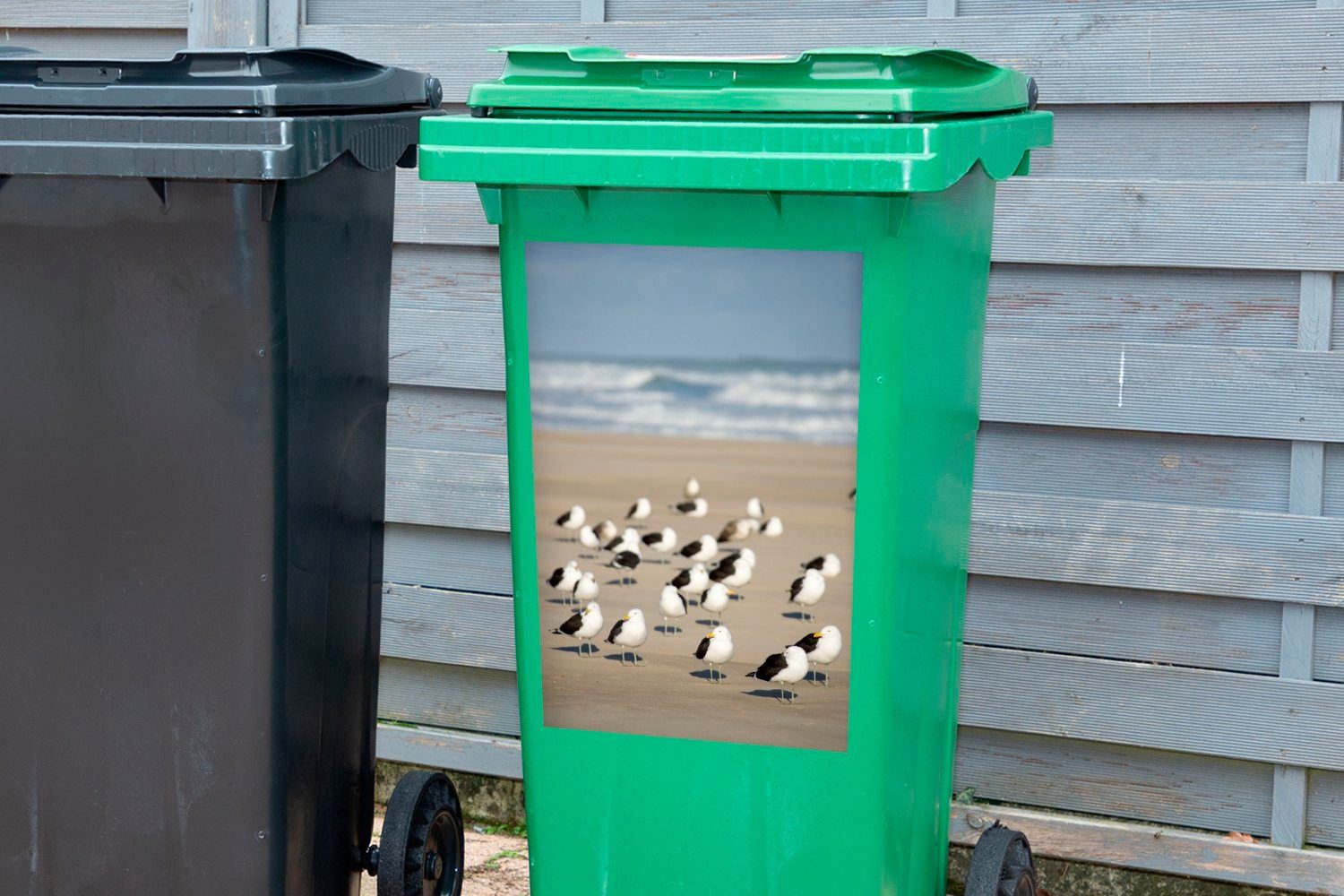 Container, Mantelmöwen Strand des Sticker, Abfalbehälter Nähe von Gruppe St), Eine MuchoWow Mülltonne, Wandsticker der in Mülleimer-aufkleber, am (1 Meeres
