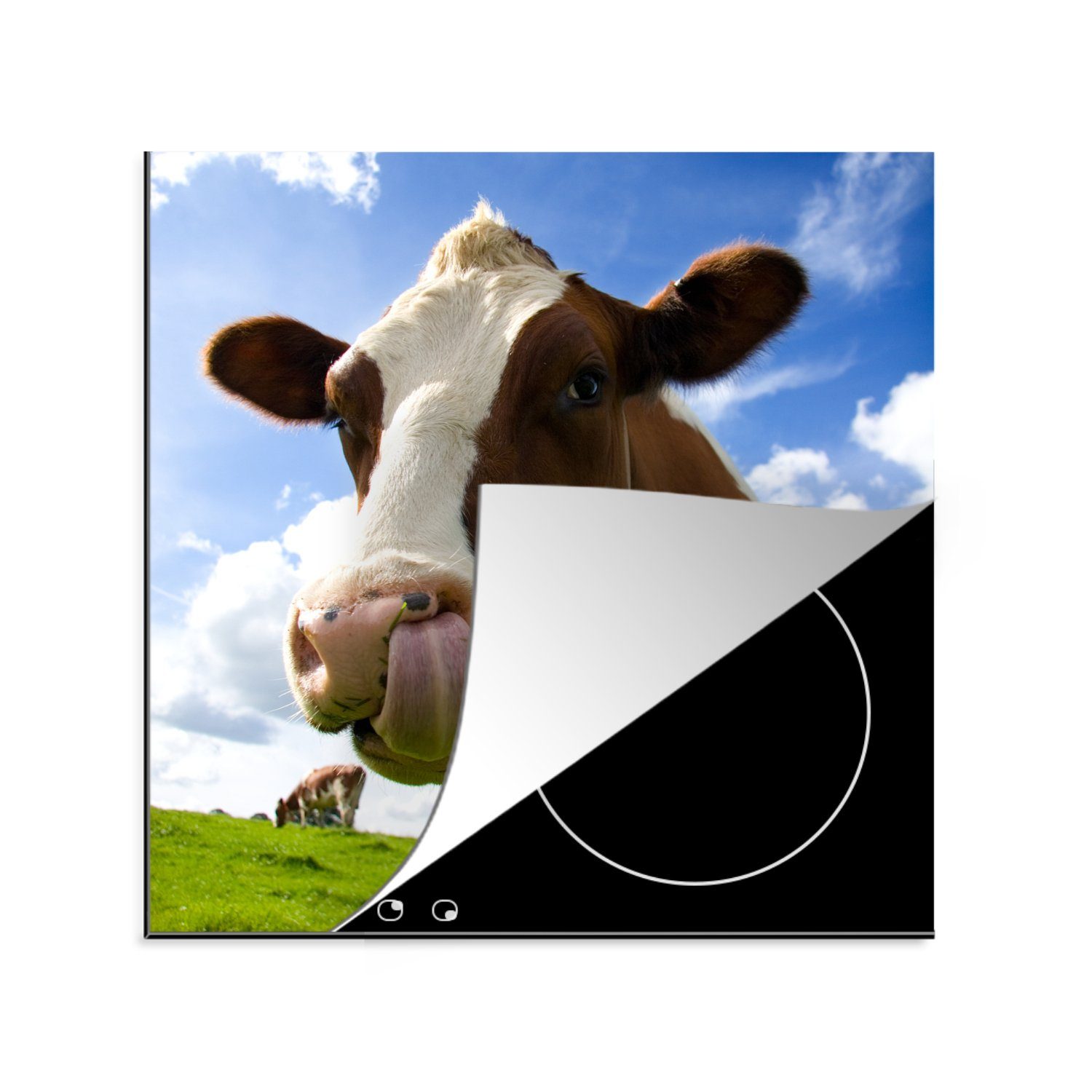 Bauernhof tlg), Gras, für - Ceranfeldabdeckung, MuchoWow küche - cm, Herdblende-/Abdeckplatte (1 Arbeitsplatte 78x78 Kuh Vinyl,