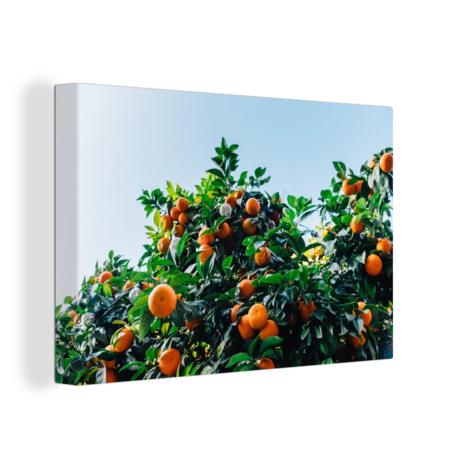 OneMillionCanvasses® Leinwandbild Obst - Orange - Baum, (1 St), Wandbild Leinwandbilder, Aufhängefertig, Wanddeko, 30x20 cm