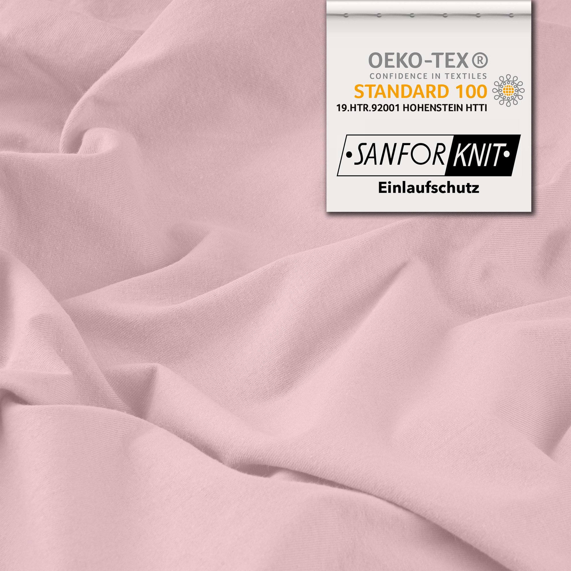 STUDIO Spannbettlaken Basic, viele Größen, 100% gekämmte Baumwolle, OEKO-TEX 100, Jersey, Baumwolle, Gummizug: rundum, (1 Stück), 140x200 cm Bettlaken Spannbetttuch bis 25 cm Höhe - Puder