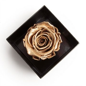 Kunstblume 1 Infinity Rose haltbar 3 Jahre Rose in Box mit Blumendeckel Rose, ROSEMARIE SCHULZ Heidelberg, Höhe 6.5 cm, Echte Rose haltbar bis zu 3 Jahre