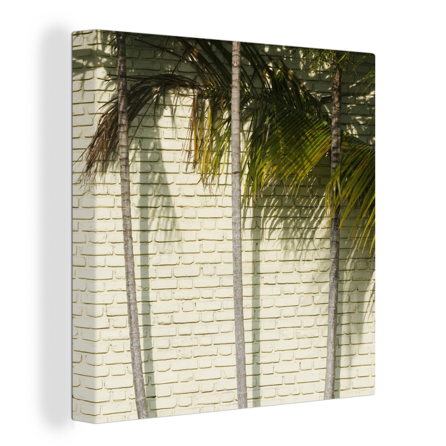 OneMillionCanvasses® Leinwandbild Die Palmenreihe vor einer Mauer, (1 St), Leinwand Bilder für Wohnzimmer Schlafzimmer