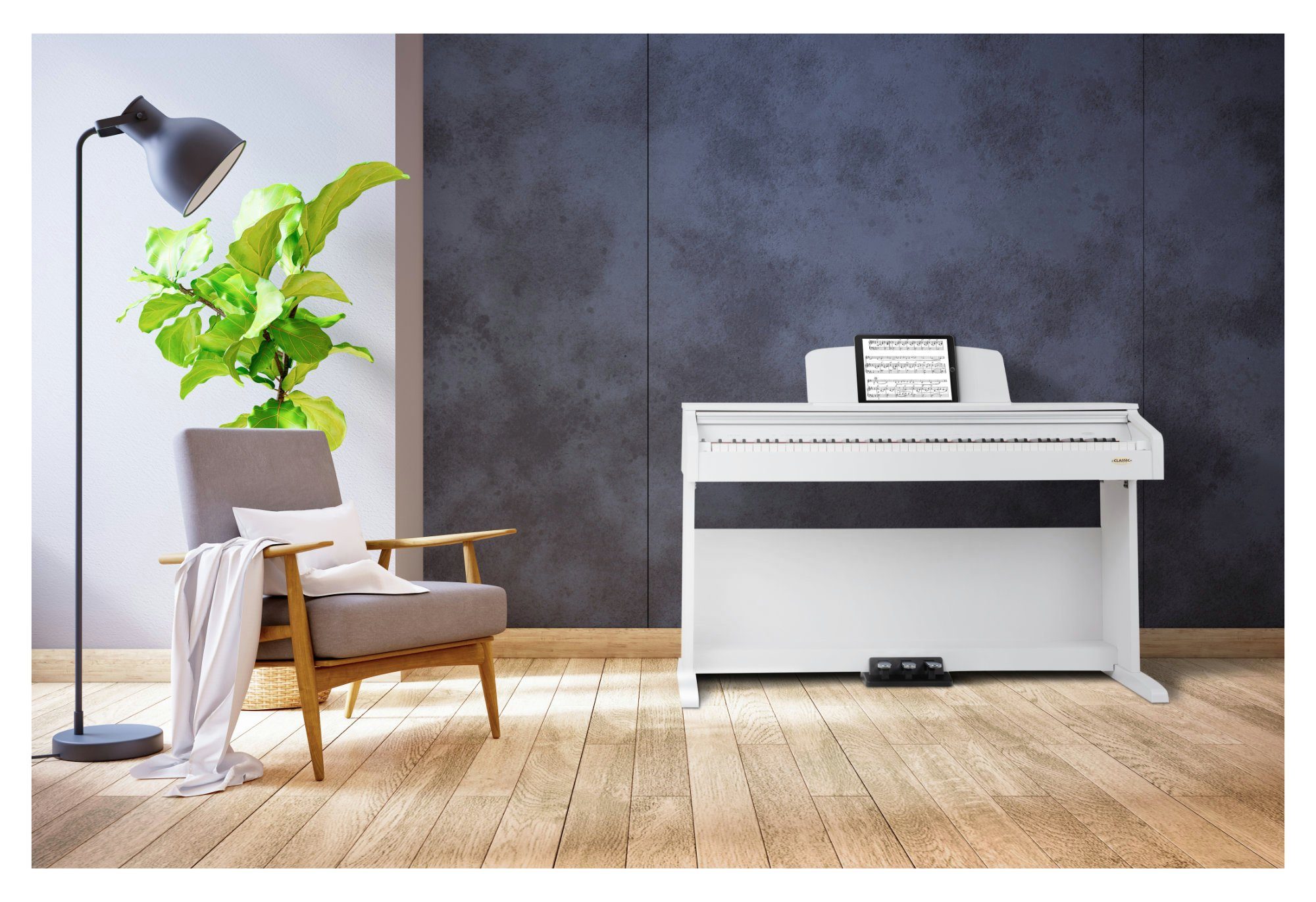 Classic Cantabile Digitalpiano DP-210 E-Piano mit 88 Tasten Hammermechanik, Dual Mode/Split Mode (Layer-Funktion) und USB