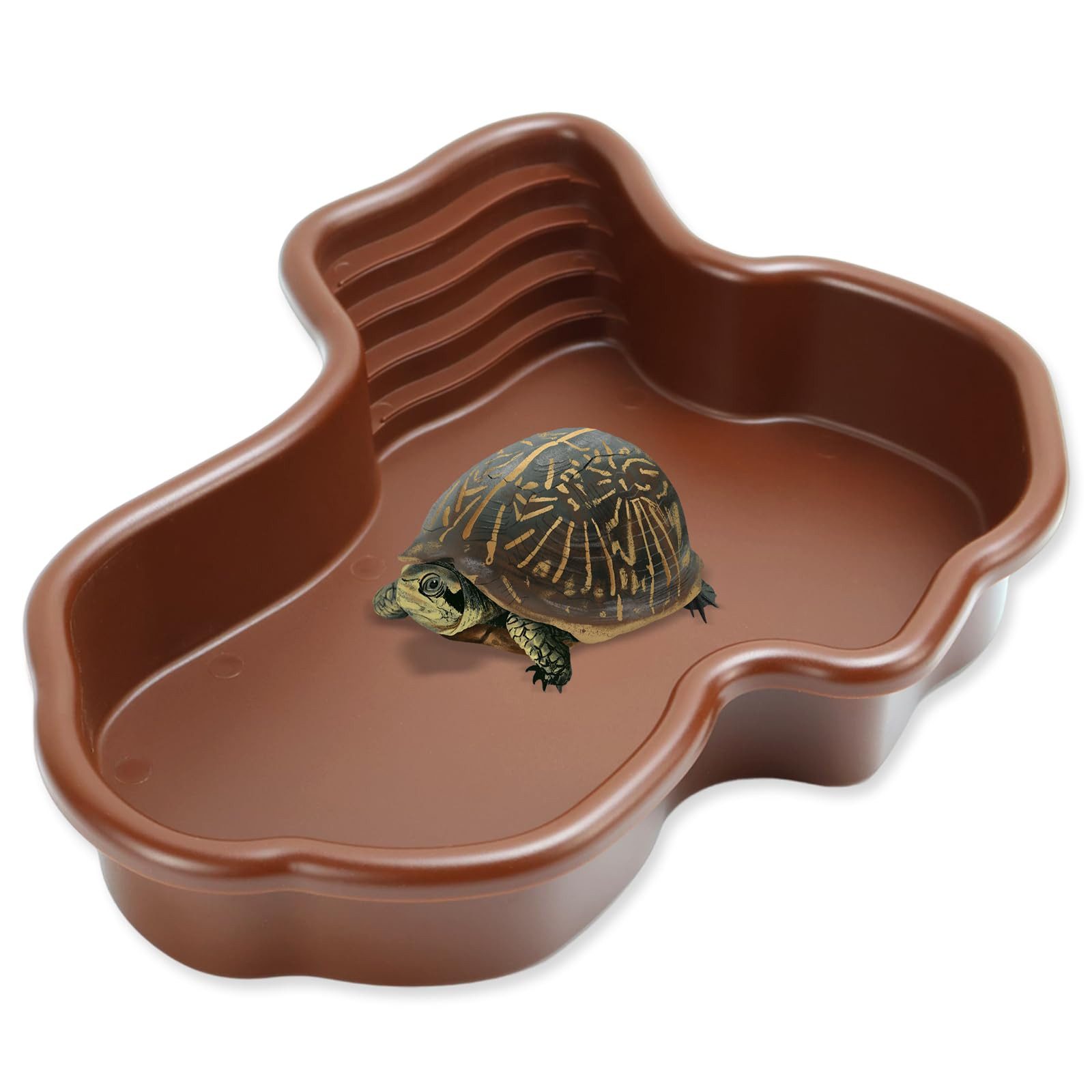 Ledander Террариумыdeko Кормplatte Wasserschale Terrarium Zubehör Schildkröten Zubehör, Reptilien Badebecke Schildkröten Wasserschale mit geneigter