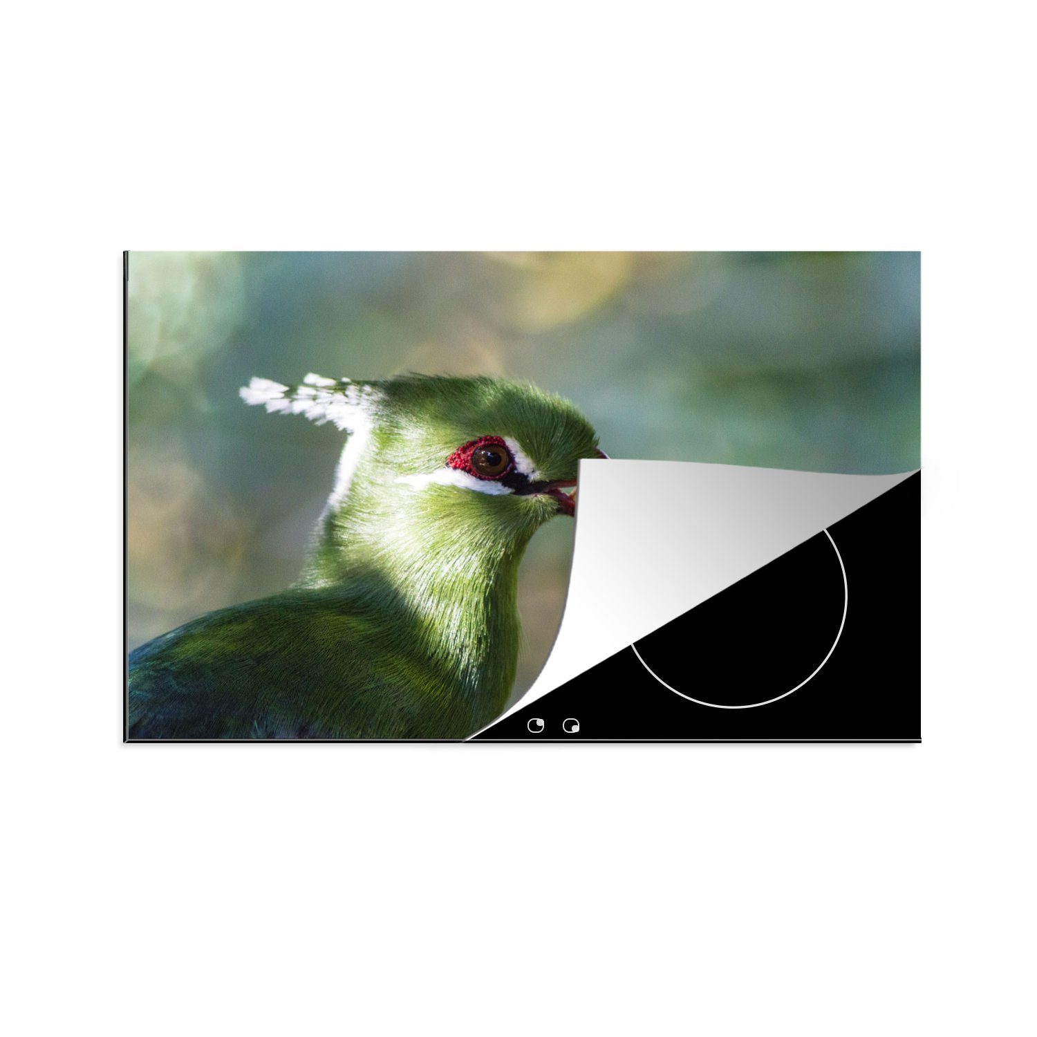 MuchoWow Herdblende-/Abdeckplatte Toerako in Birds of Eden, Vinyl, (1 tlg), 81x52 cm, Induktionskochfeld Schutz für die küche, Ceranfeldabdeckung