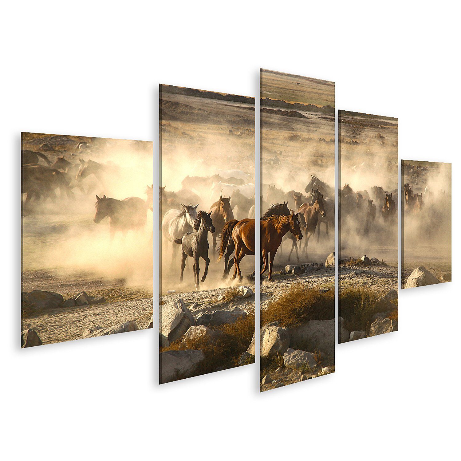 Leinwandbild Bild auf Leinwand Passage von Wildpferden ist ganzjährig Pferde Wandbi