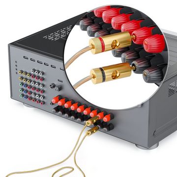 deleyCON deleyCON 4x Bananenstecker 24K vergoldet schraubbar Kabel Boxen Audio-Kabel