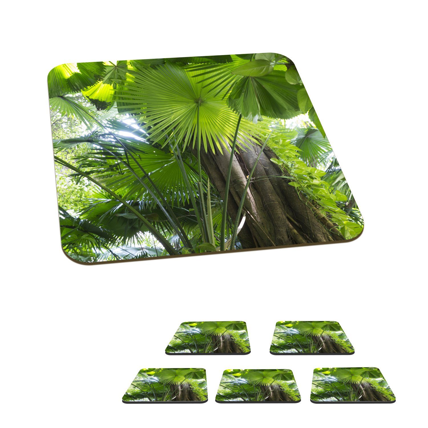 MuchoWow Glasuntersetzer Tropischer Regenwald, Zubehör für Gläser, 6-tlg., Glasuntersetzer, Tischuntersetzer, Korkuntersetzer, Untersetzer, Tasse