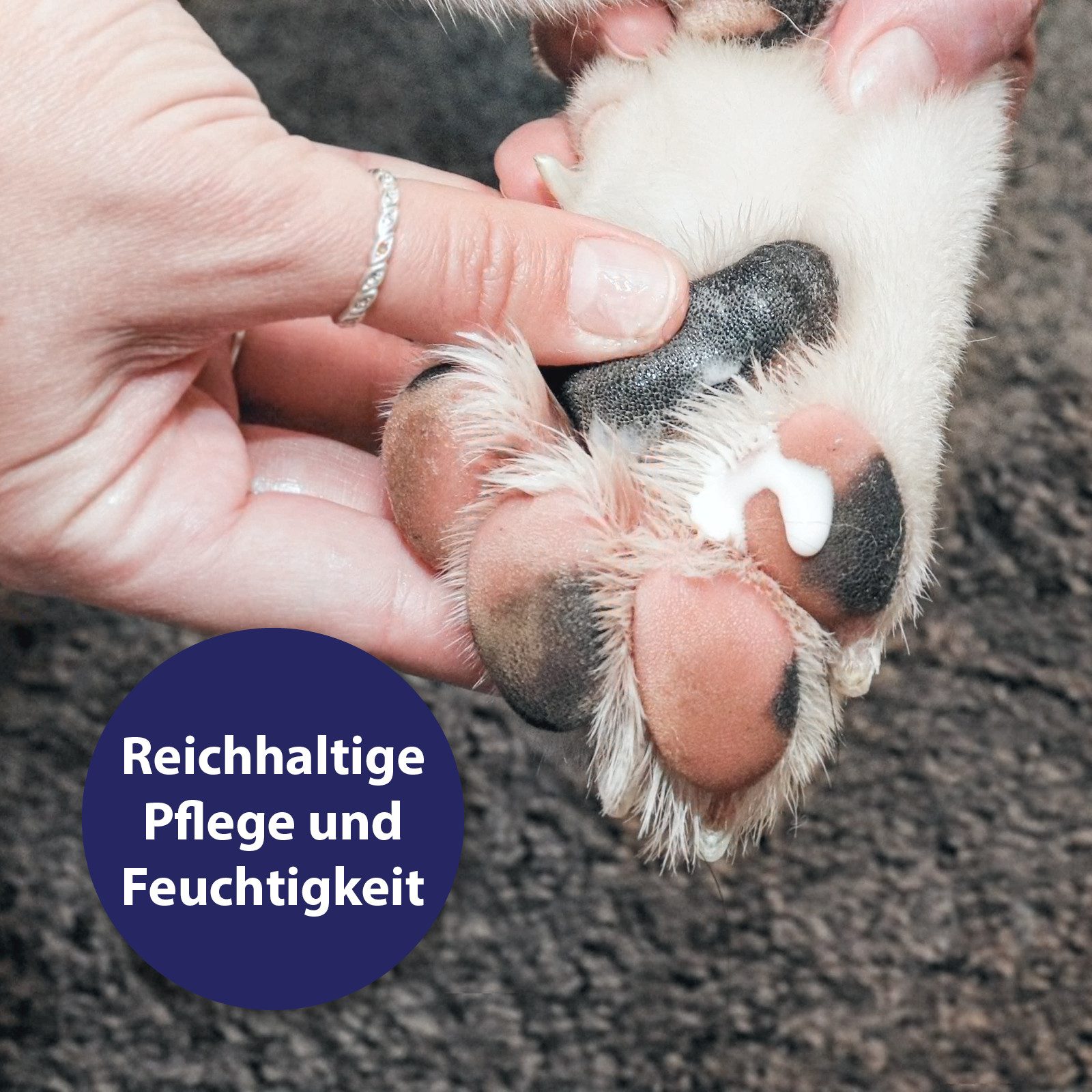 Canosept Pfotenpflege Canosept Pfotenpflege 75 g