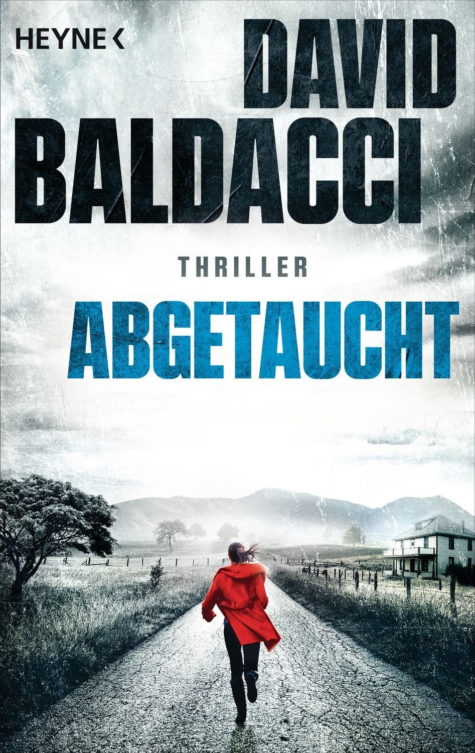 Abgetaucht / David Baldacci