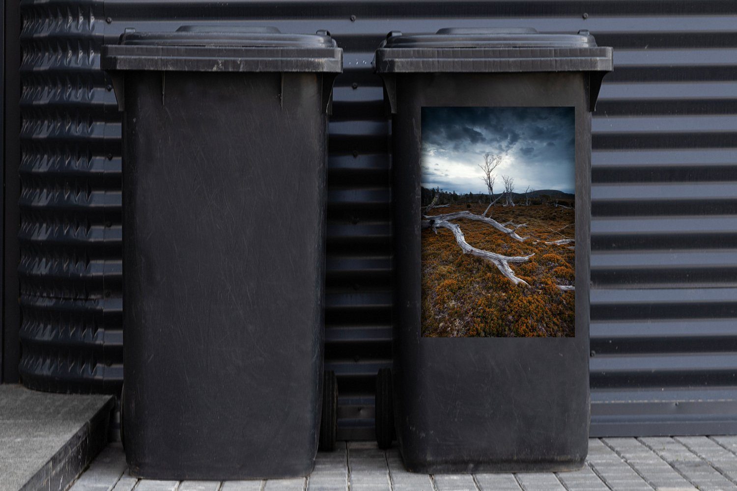 Mülleimer-aufkleber, (1 Container, Abfalbehälter Baum Wandsticker MuchoWow St), Cradle Mülltonne, Sticker, Mountain Tasmanien Park National