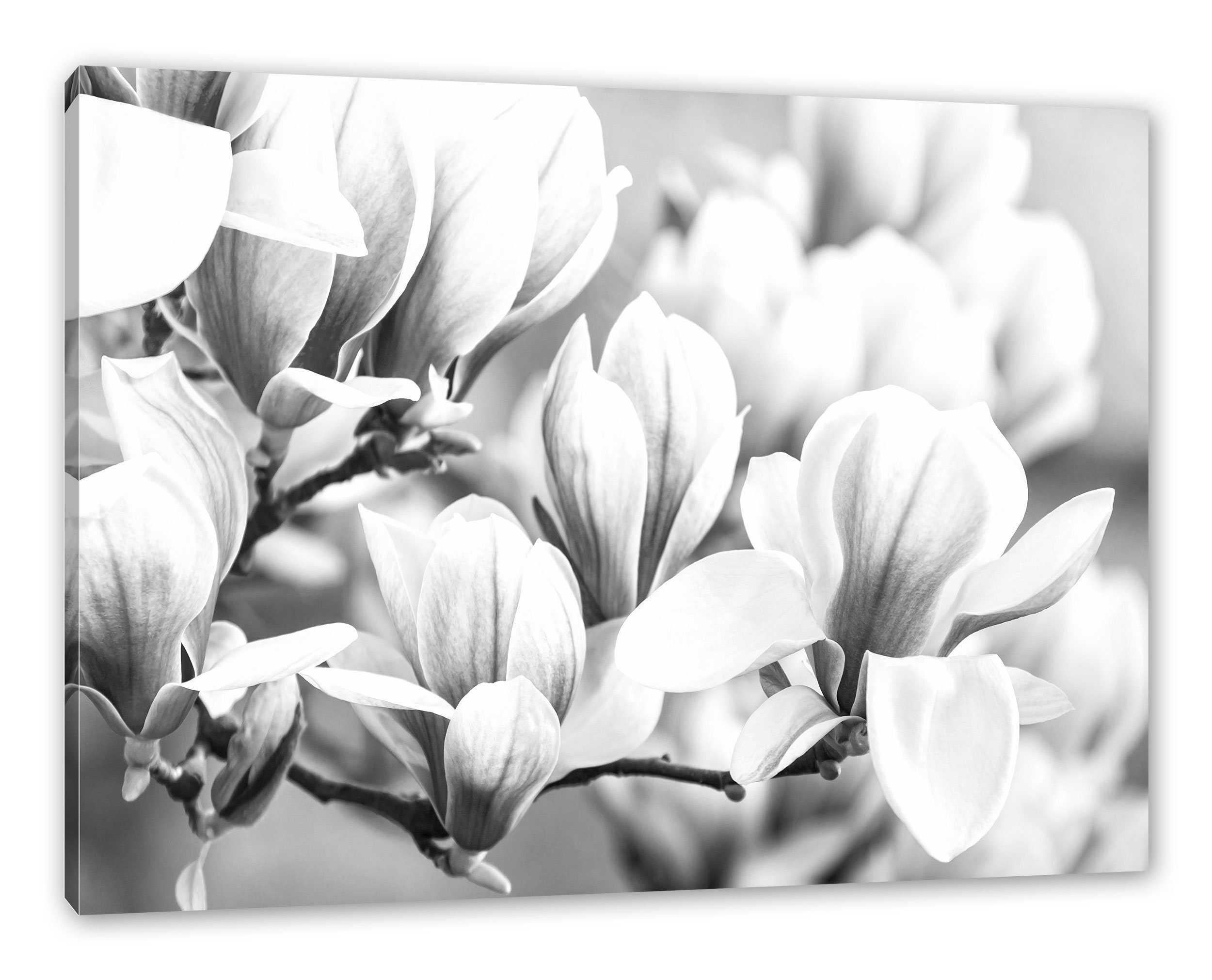 farbende Blüte Pixxprint inkl. fertig Leinwandbild Zackenaufhänger farbende Leinwandbild St), bespannt, Blüte, (1