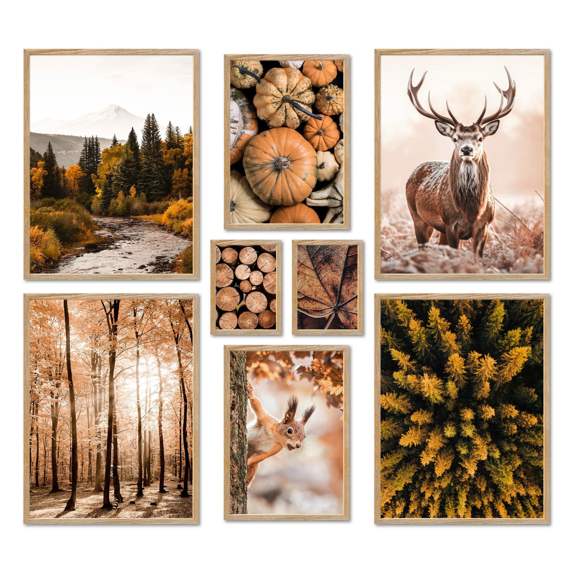ARTFAVES Bilder-Collage Poster Set - AUTUMN FOREST - Deko Wandbilder braun, günstig online kaufen