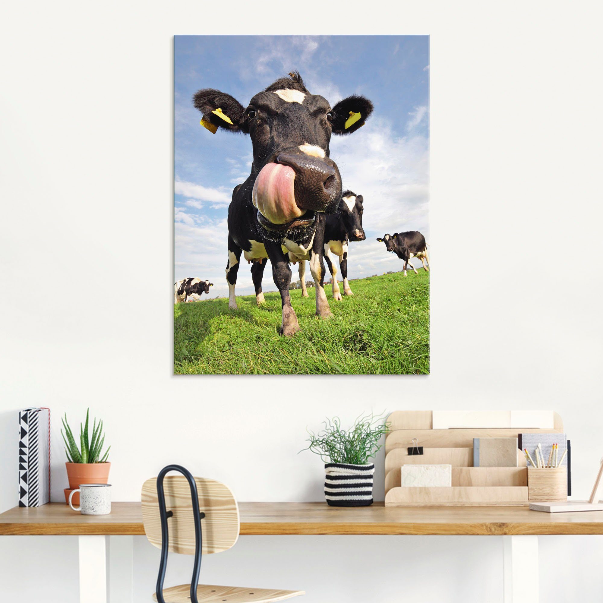 Artland mit Haustiere gewaltiger Größen St), Holstein-Kuh (1 in verschiedenen Glasbild Zunge,