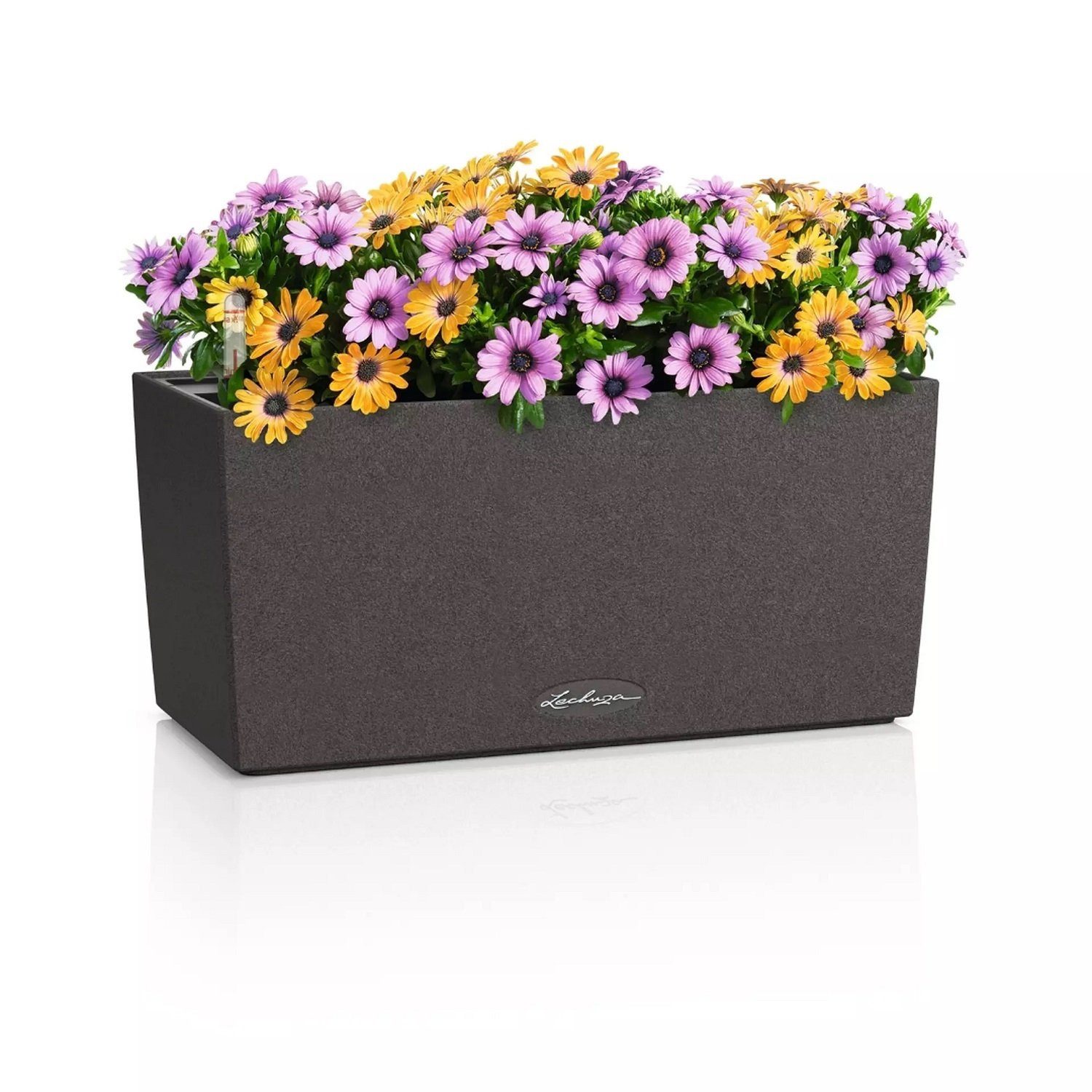 Lechuza® Balkonkasten BALCONERA Stone 40 graphitschwarz günstig online kaufen